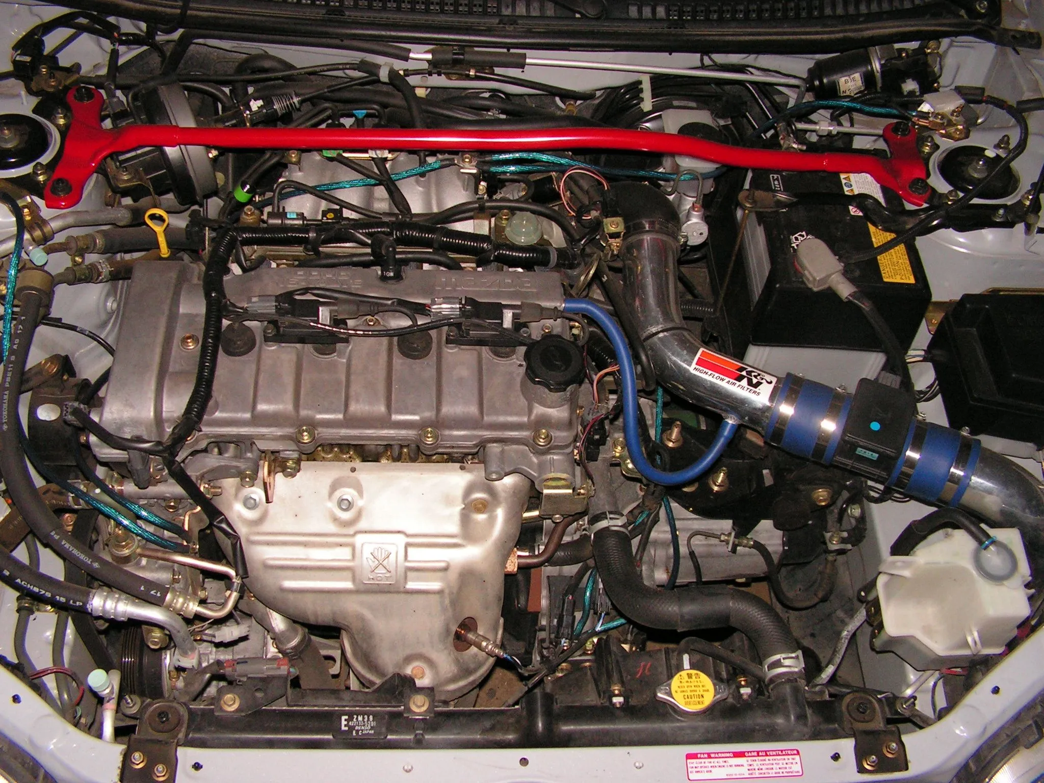 close-up.JPG