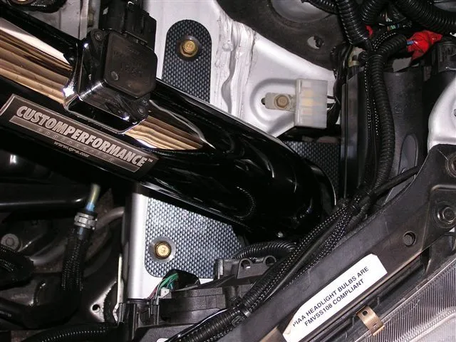 close up.jpg