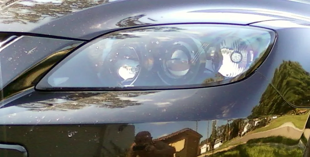 closeup.jpg