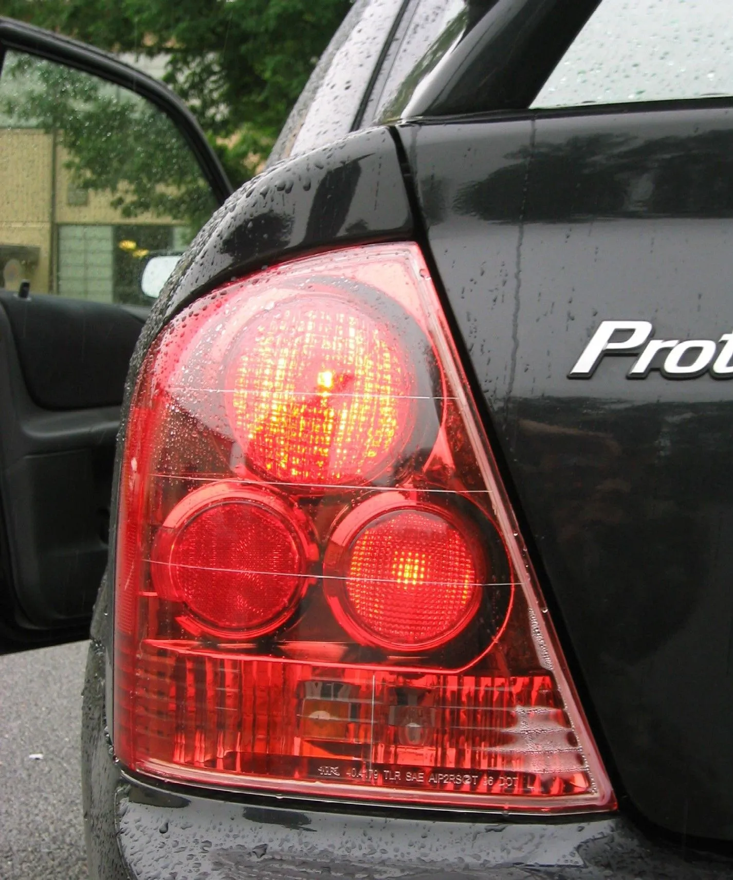 closeup.jpg