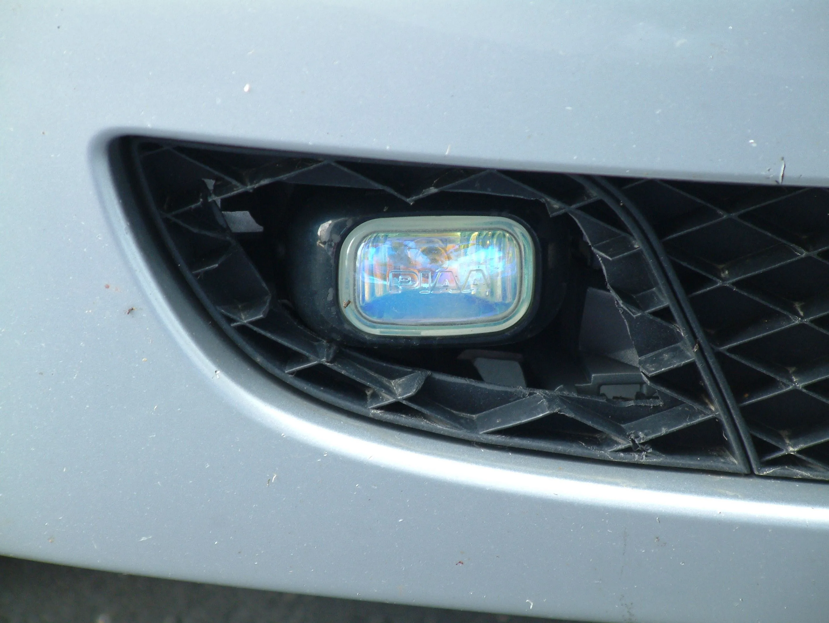 closeup.JPG