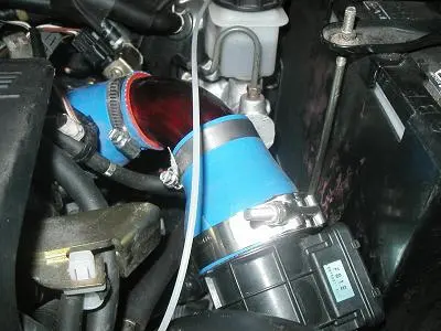 closeup2.JPG