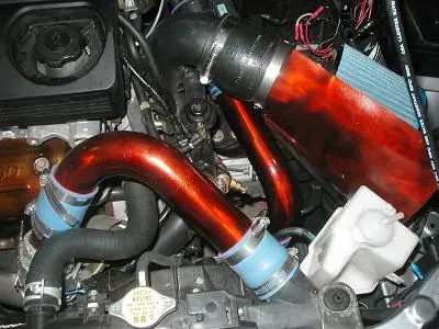 closeup3.JPG