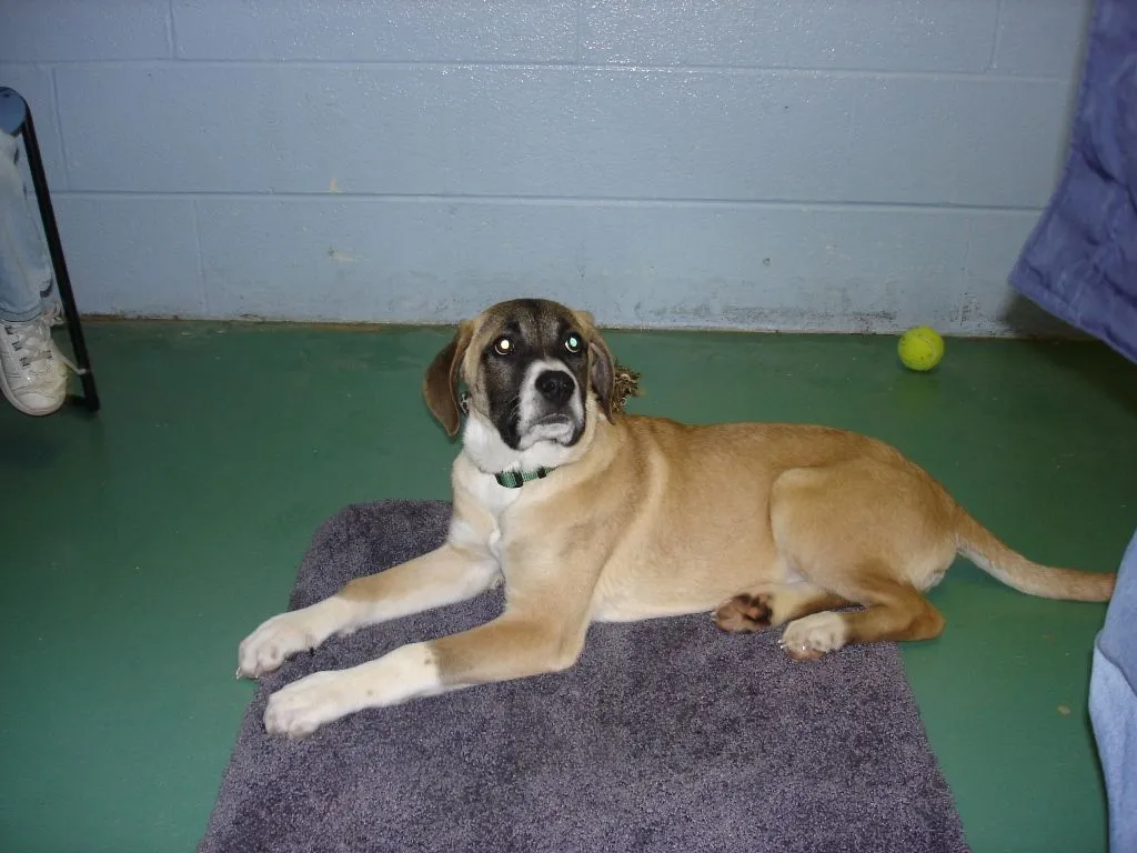 Copy of DSC04136[1].webp