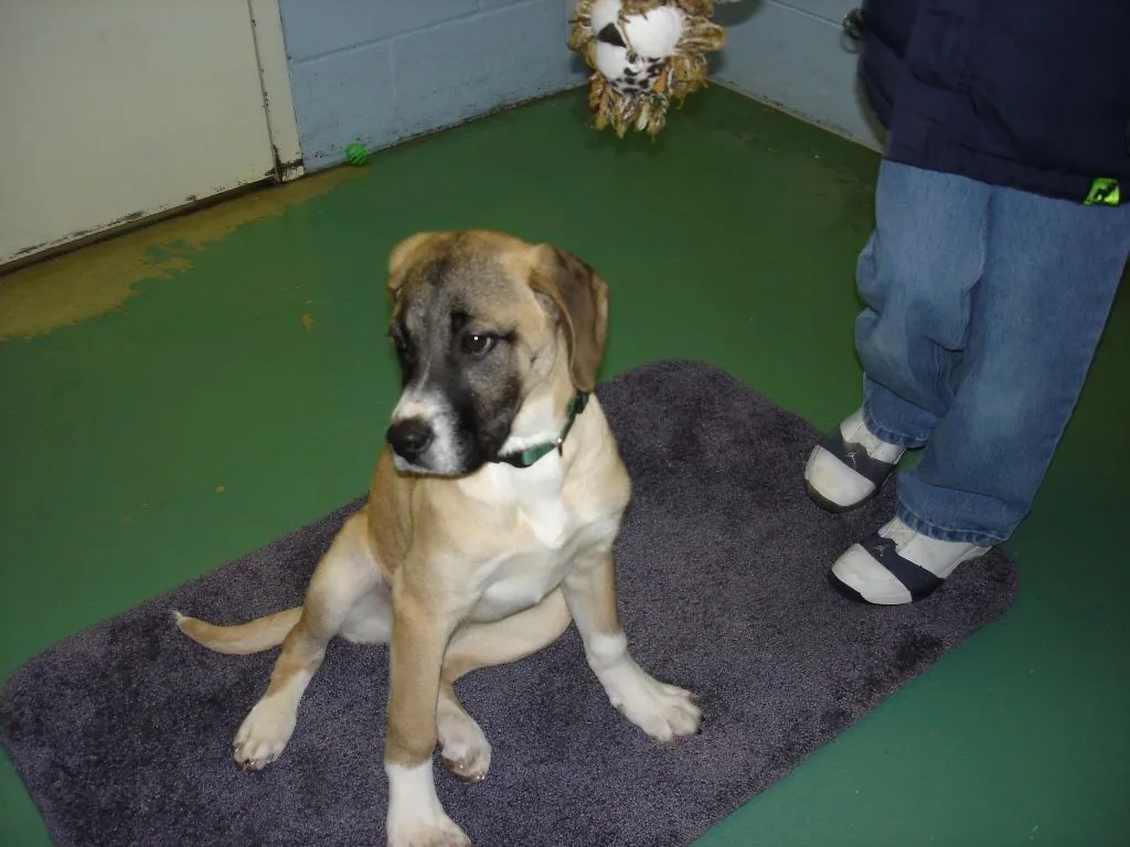 Copy of DSC04150[1].webp