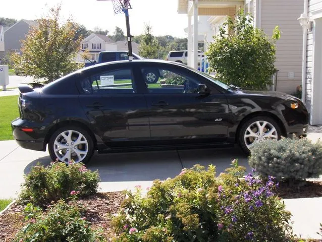 Copy of HPIM0539.webp