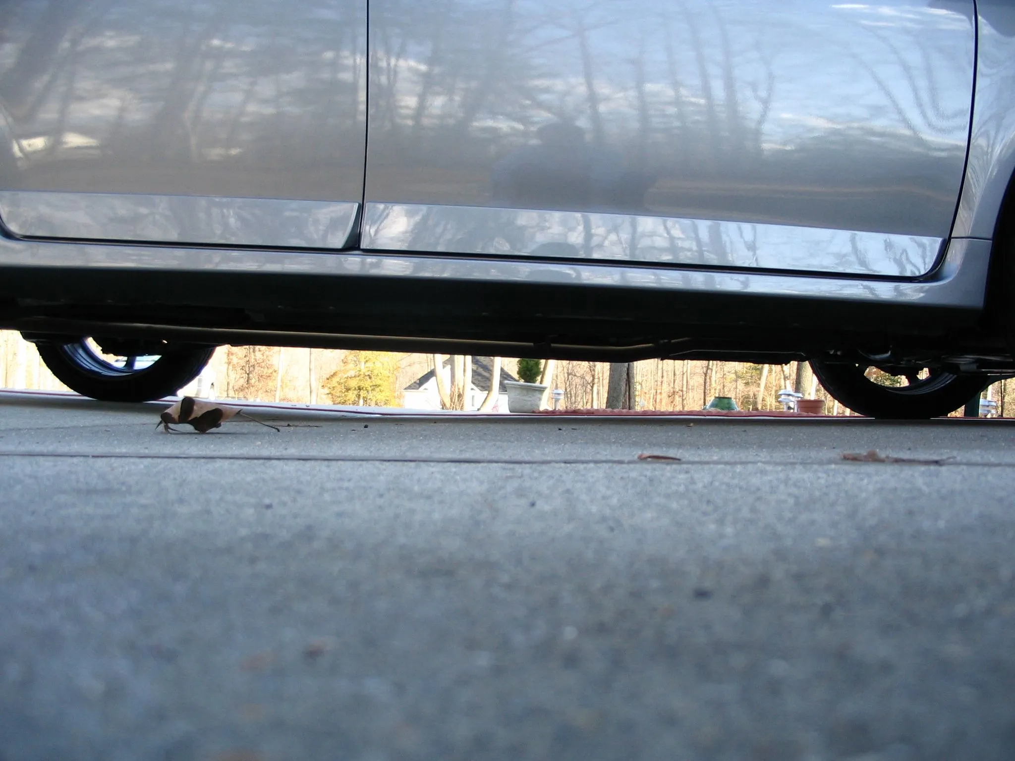 Copy of IMG_1431.JPG