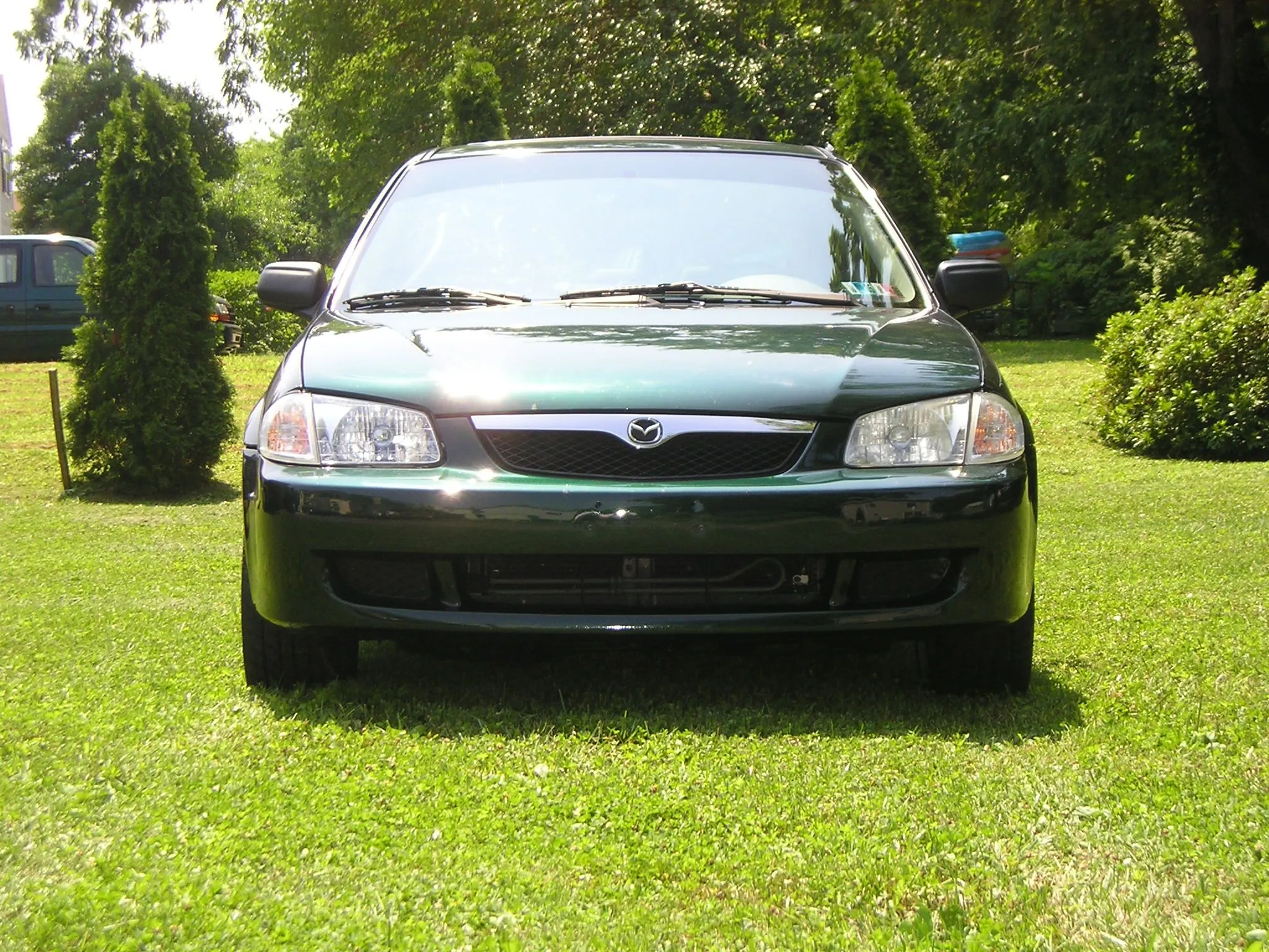 Copy of P1010086.webp