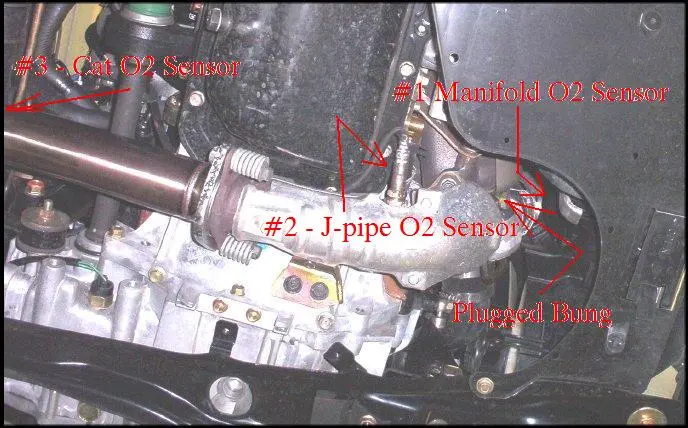 CorkSports 1 f.JPG