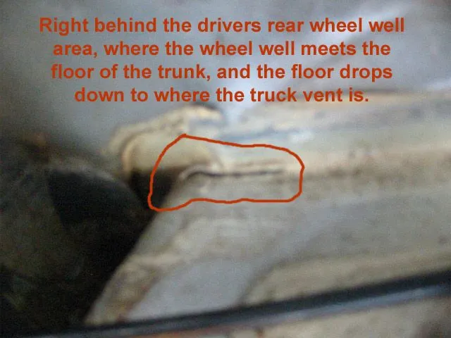 crack-in-trunk-floor.webp