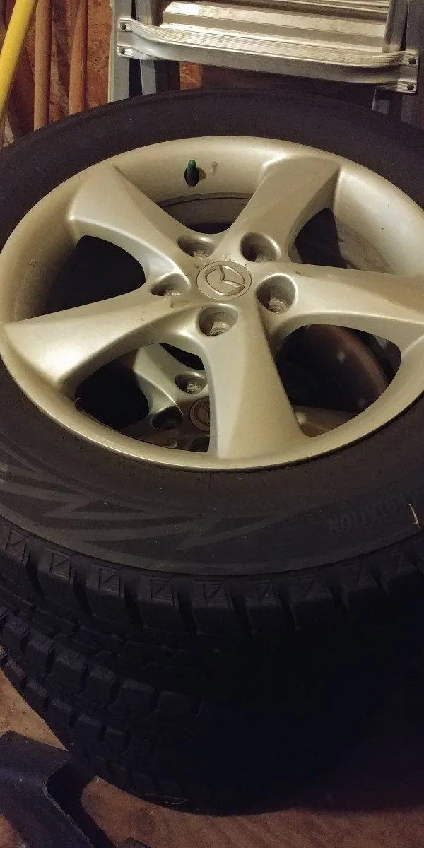 cx5-4.webp