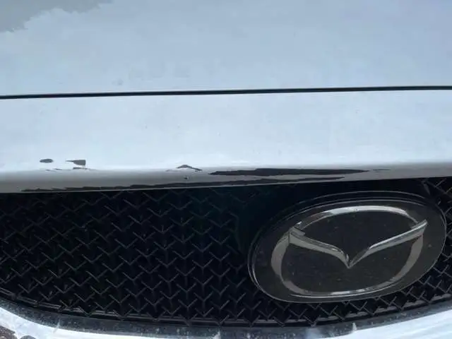 cx5 damage 1.jpg
