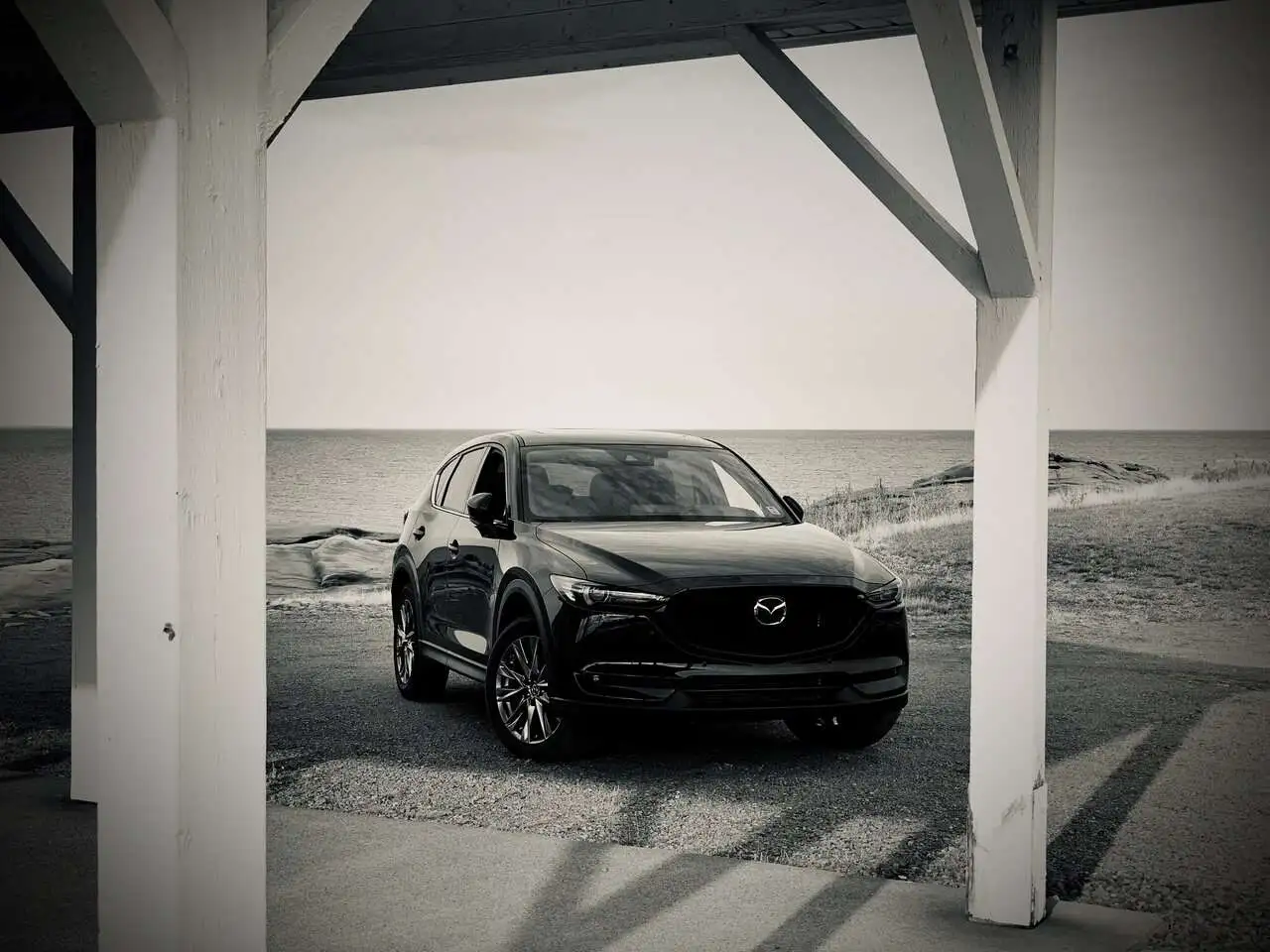 cx53.jpg