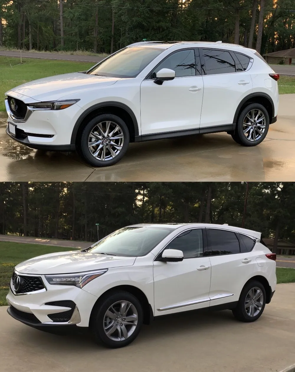 CX5_RDX.jpg