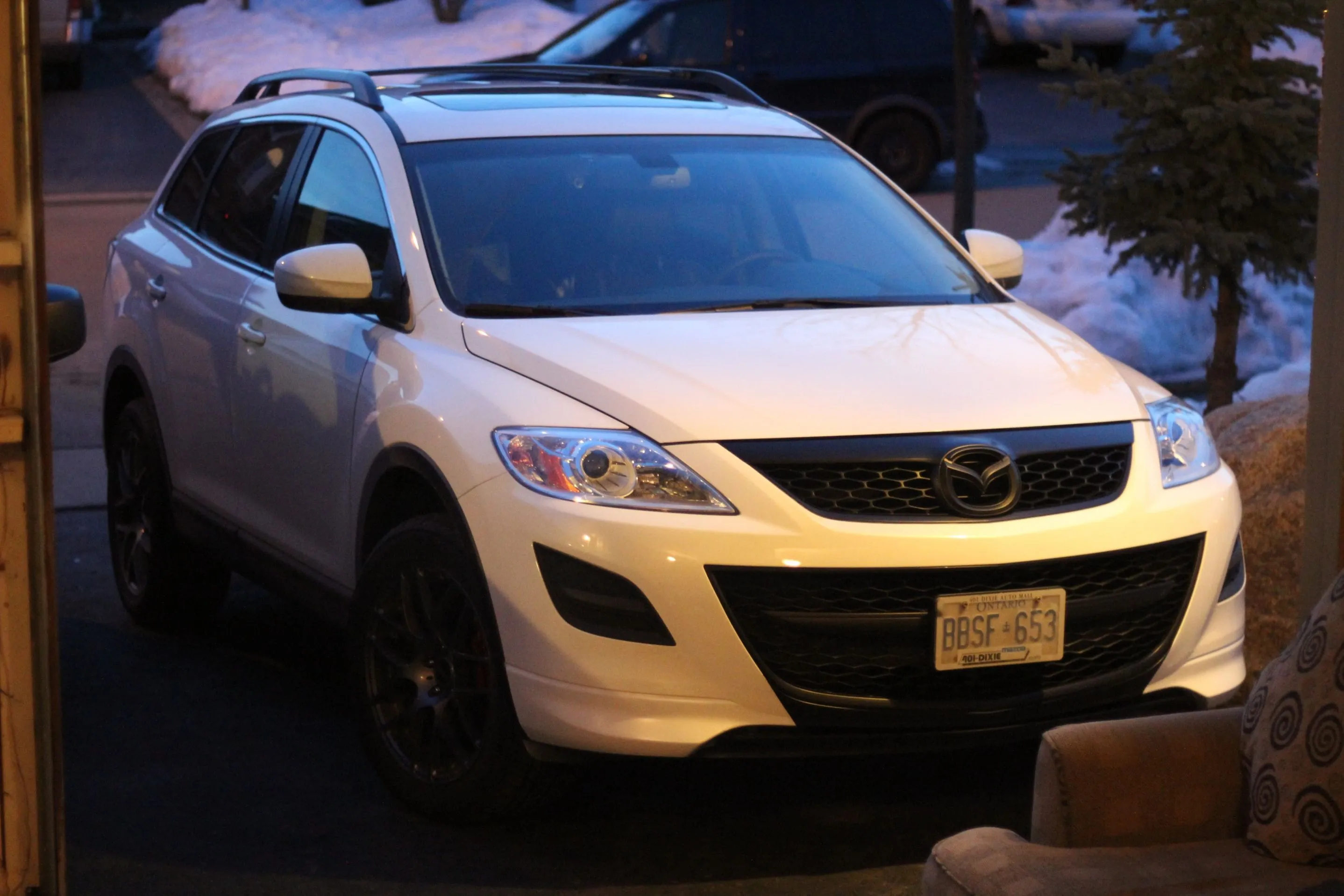 cx97.JPG