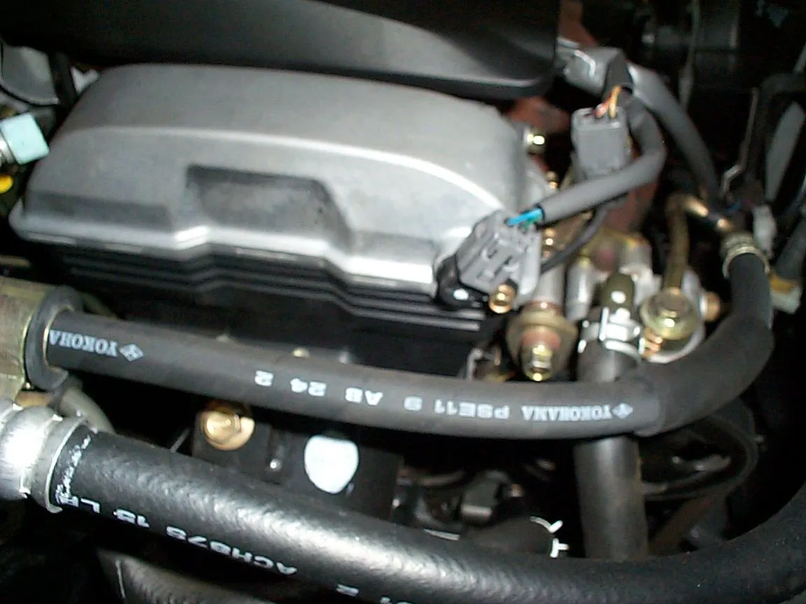 dcp01707.jpg