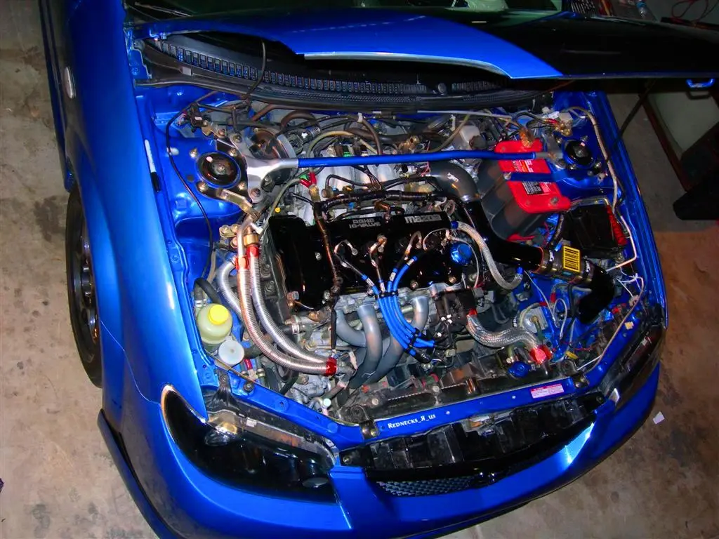 December 2006 024 (Large).jpg