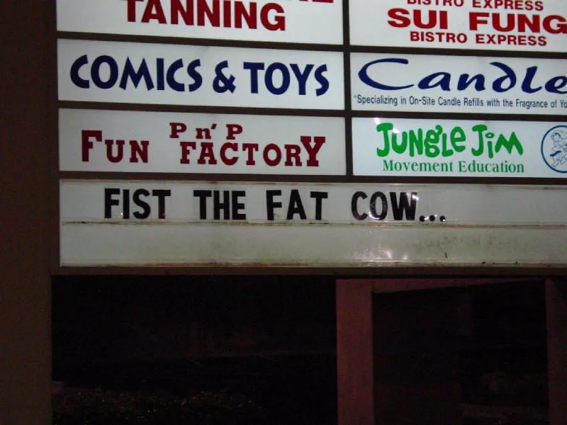 deer and signs 006.webp