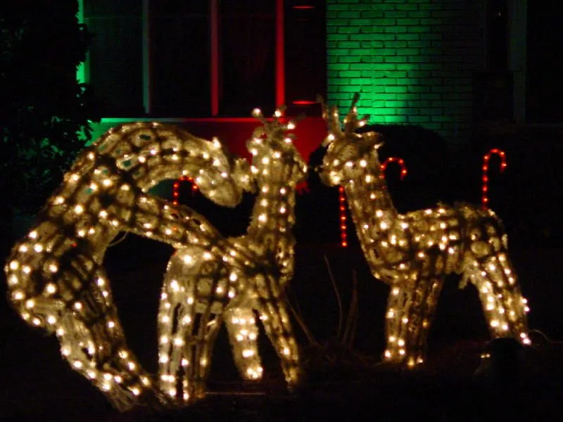 deer and signs 007.webp