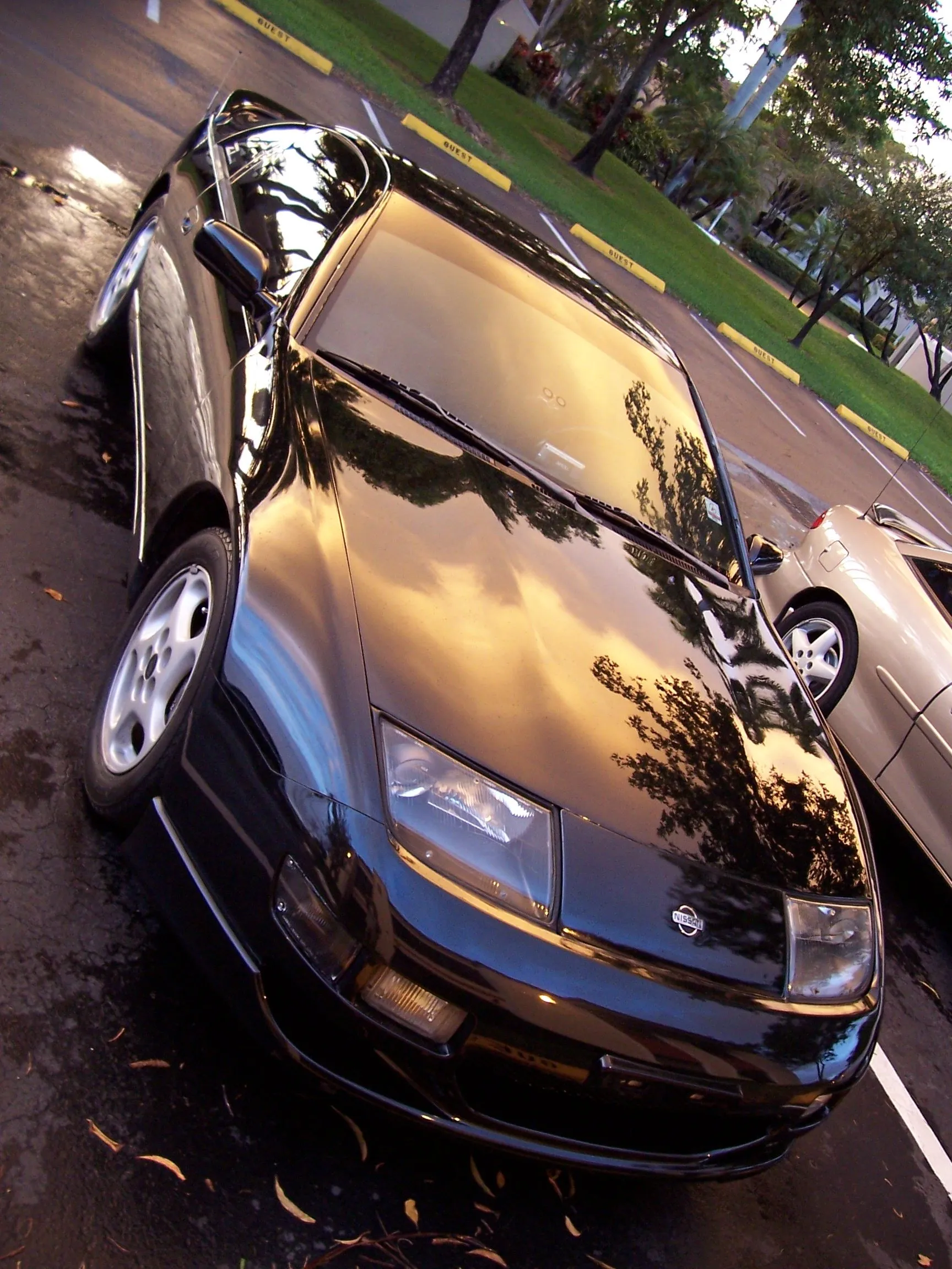 Digital photos 035.webp