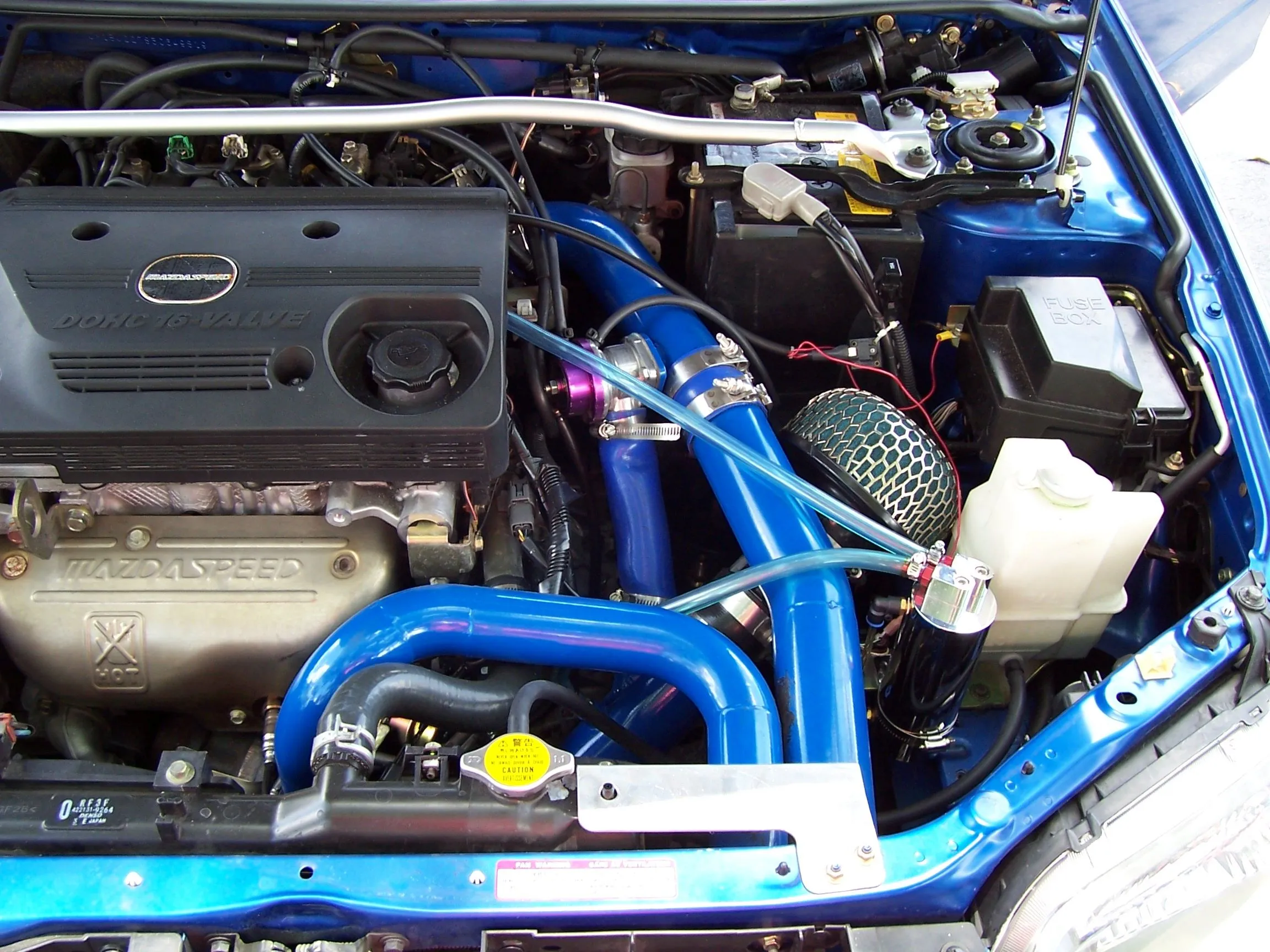 Digital photos 105.webp