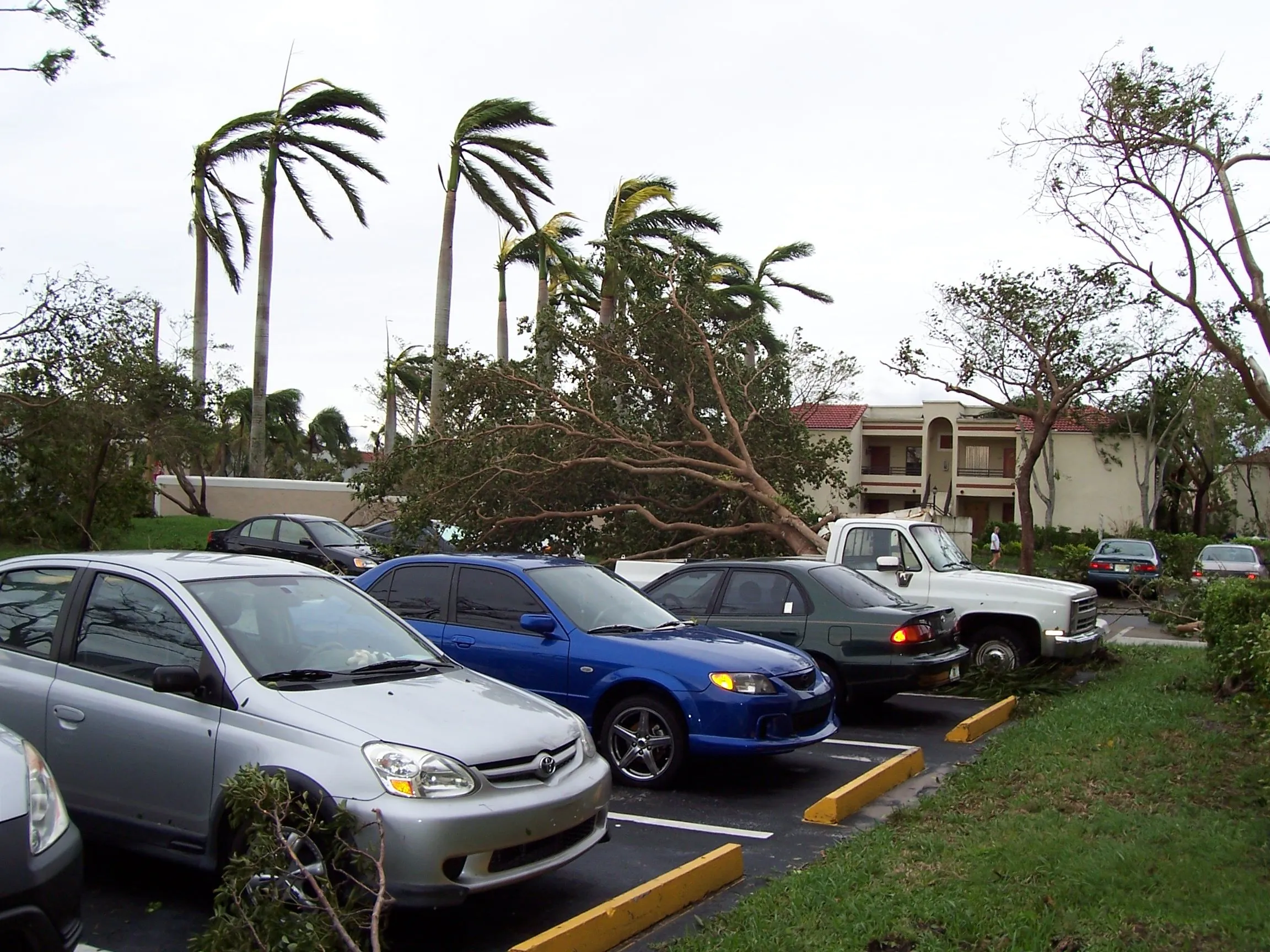 Digital photos 170.webp