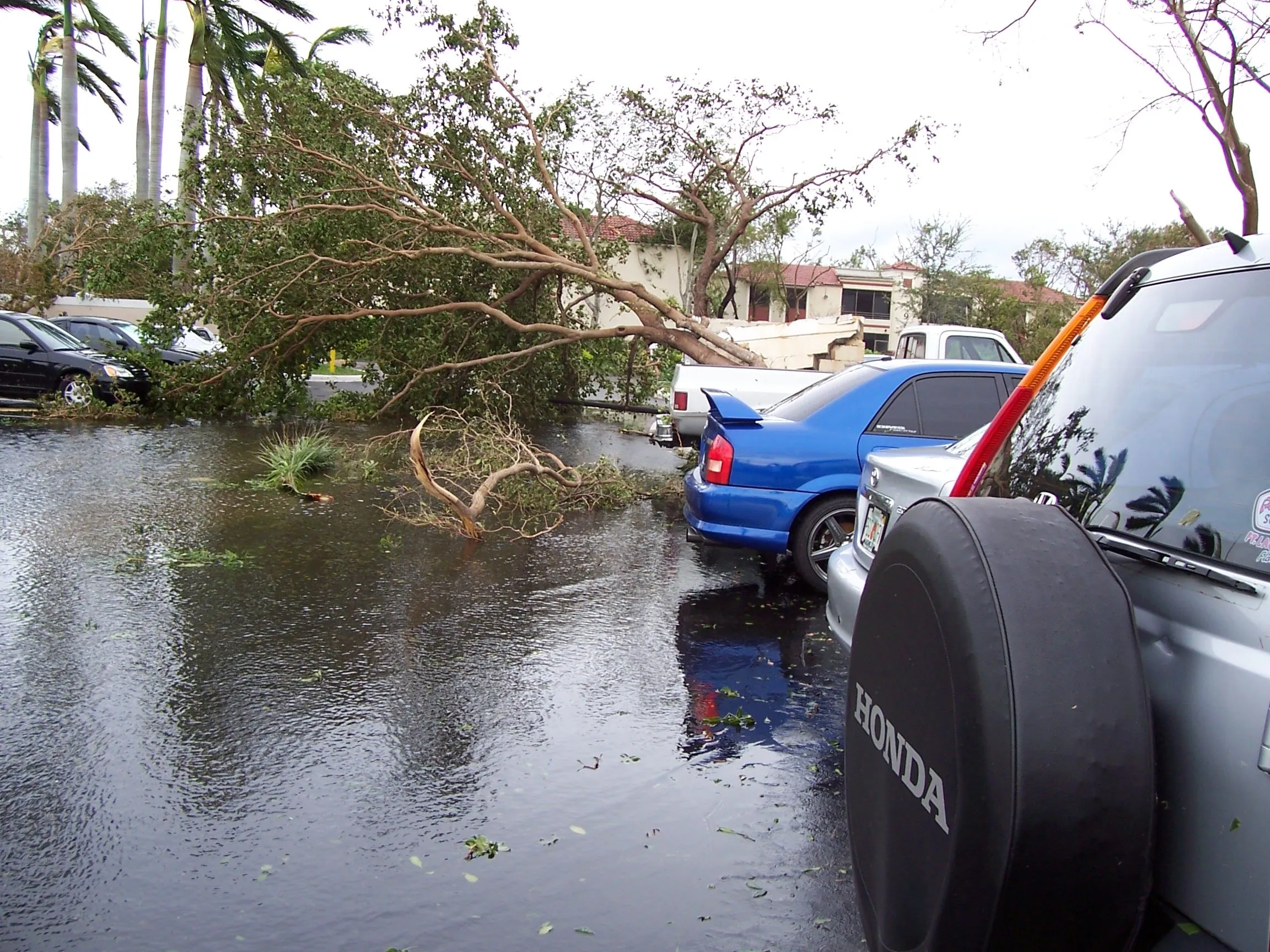 Digital photos 172.webp