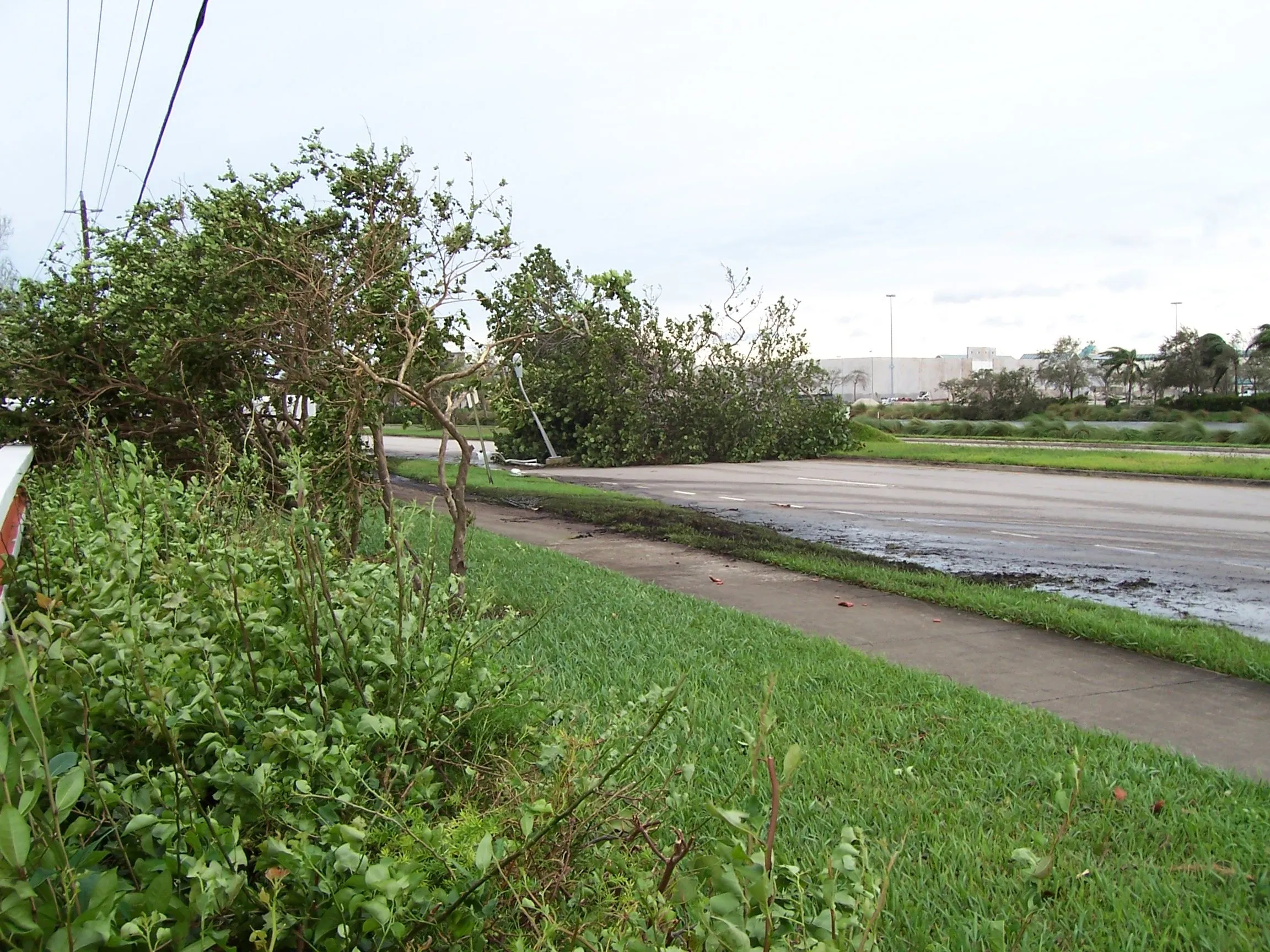 Digital photos 173.webp