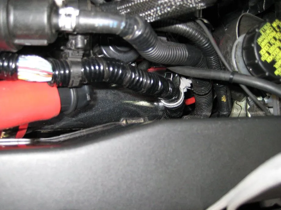 dirty mazdaspeed3 014~1.jpg