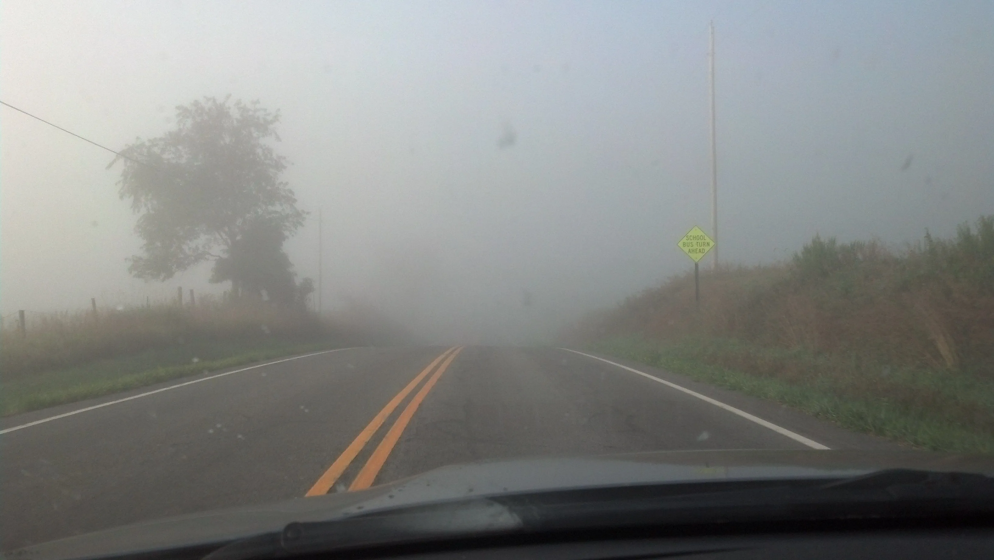 Drive to Work (5).webp