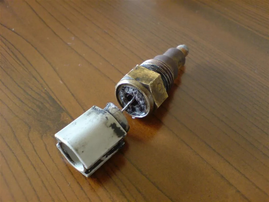 DSC00008 (Large).JPG