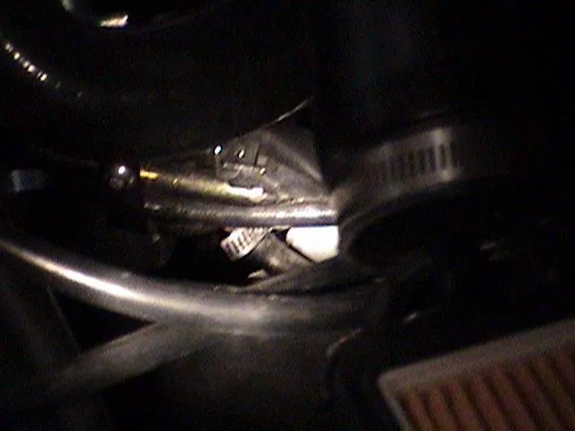 dsc00041-1.jpg