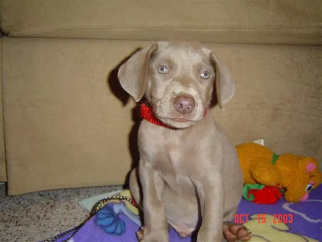 DSC00153 (Small).webp