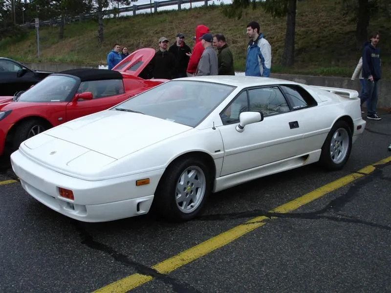 DSC00249 (Medium).webp