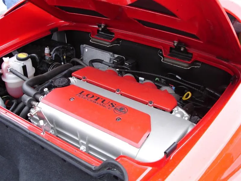 DSC00253 (Medium).webp