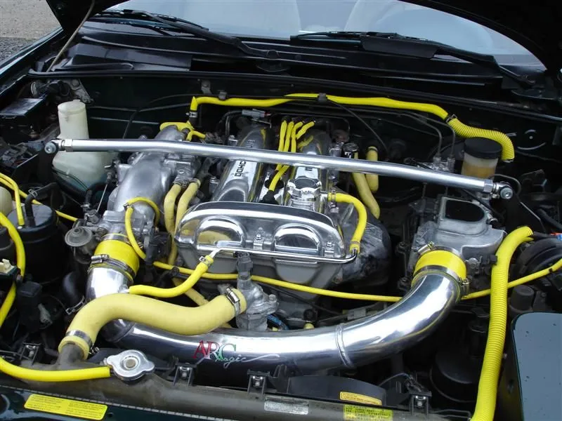 DSC00258 (Medium).webp