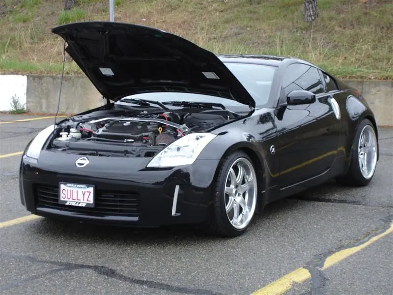 DSC00260 (Medium).webp