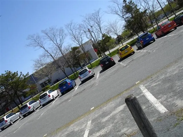 DSC00332 (Small).webp