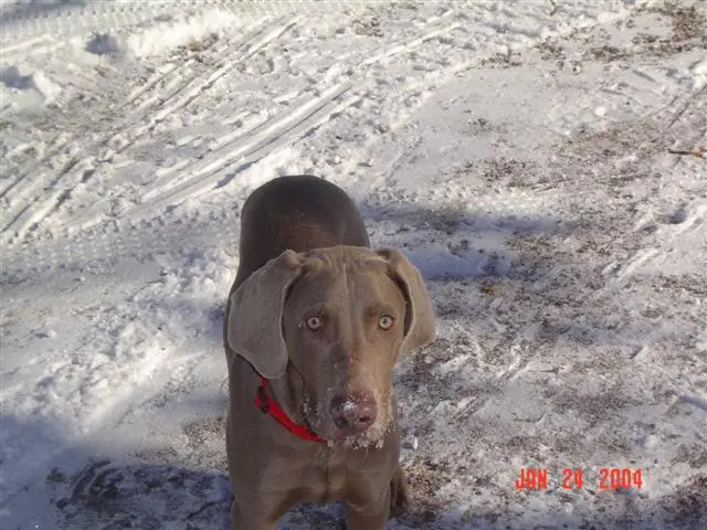 DSC00549 (Small).webp