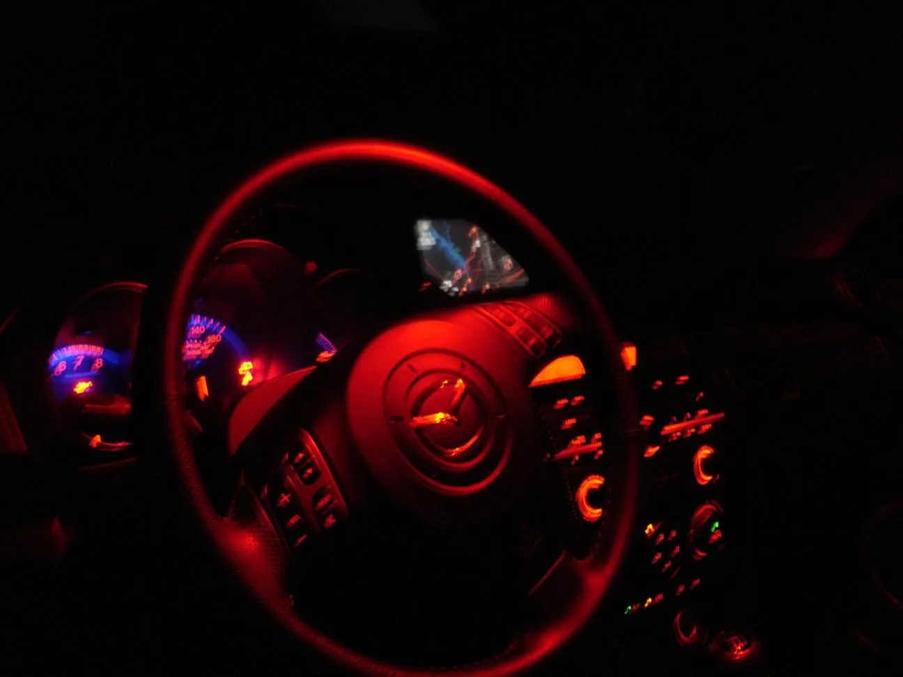 DSC00680a.jpg