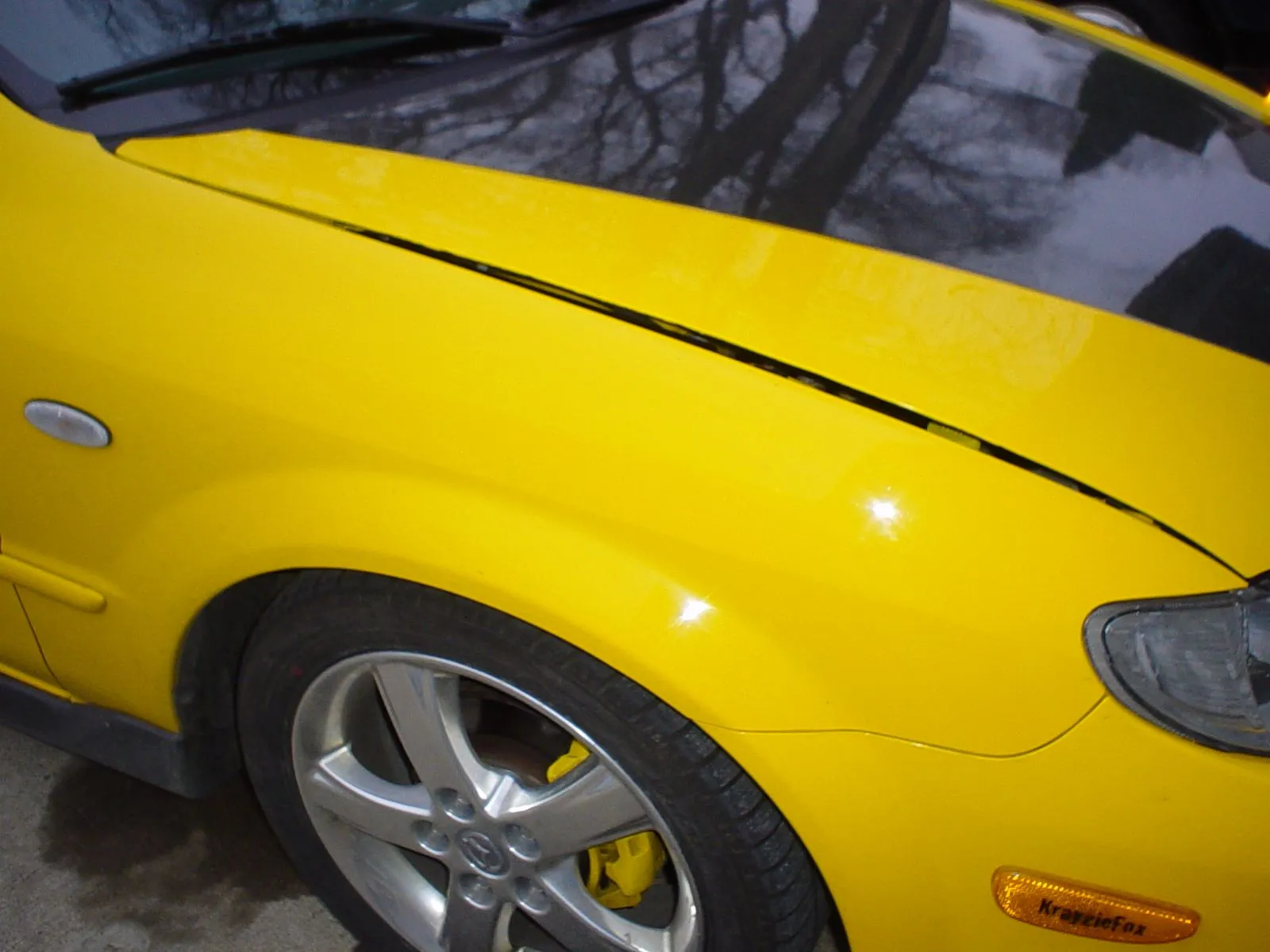 DSC00790.JPG