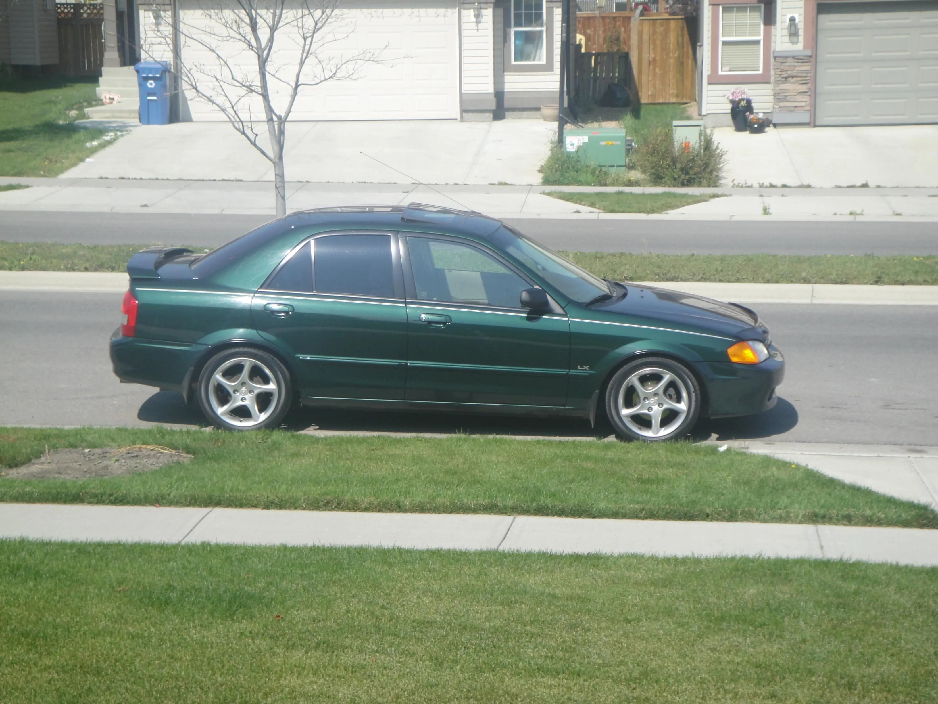 DSC00900_Small.jpg