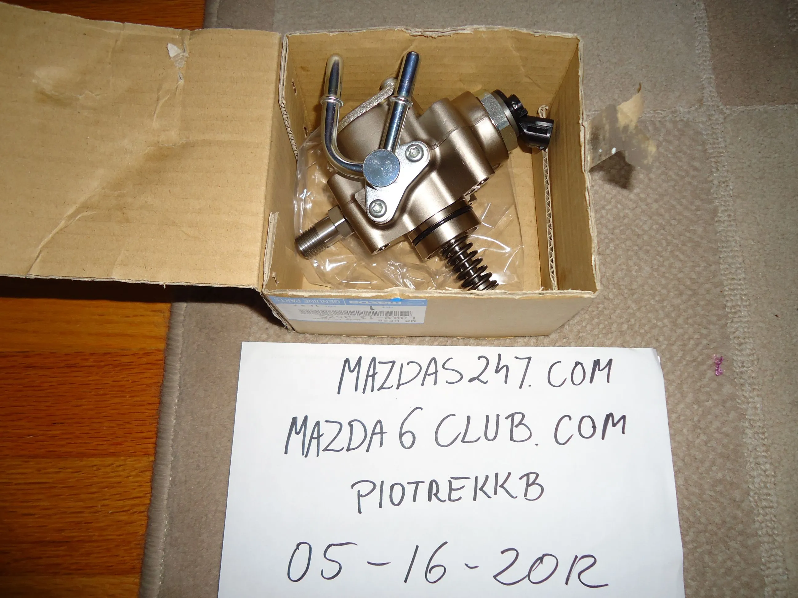 DSC00938.webp