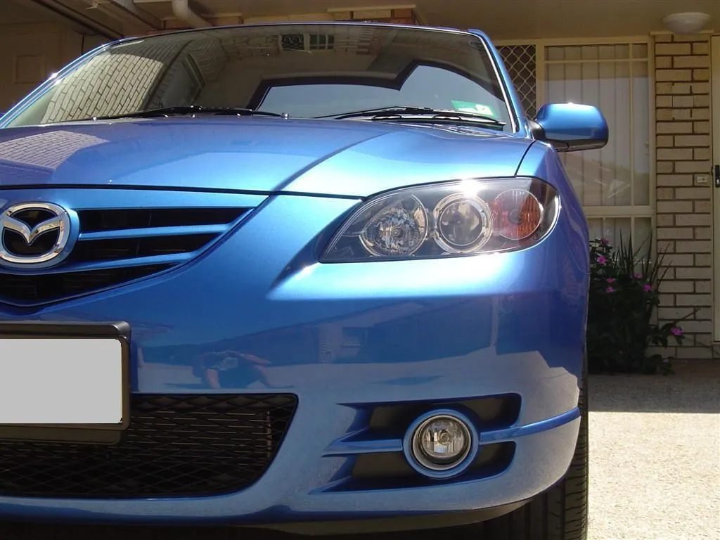 DSC01590 (Large).webp