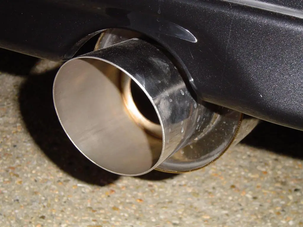 DSC01857 (Large).webp