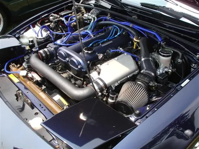 DSC01895 (Small).webp