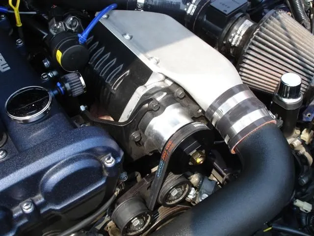 DSC01898 (Small).webp