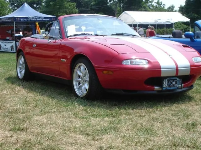 DSC01908 (Small).webp