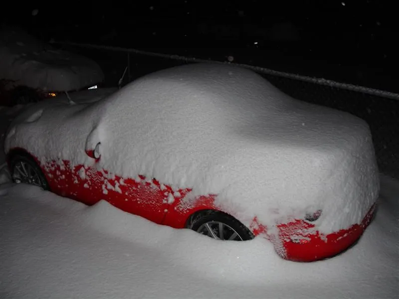 DSC01995 (Medium).webp