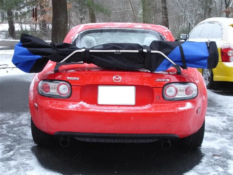 DSC02028 (Medium).webp